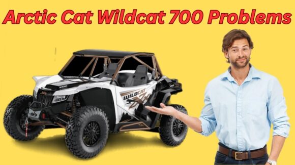 Arctic Cat Wildcat 700 Problem